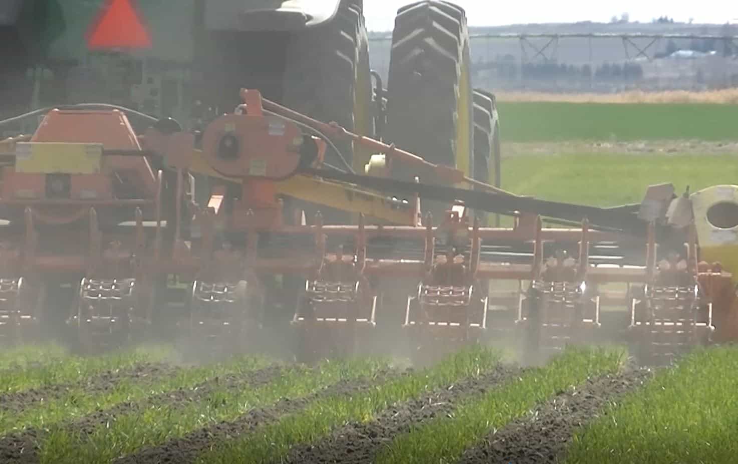 Strip Till - Northwest Tillers