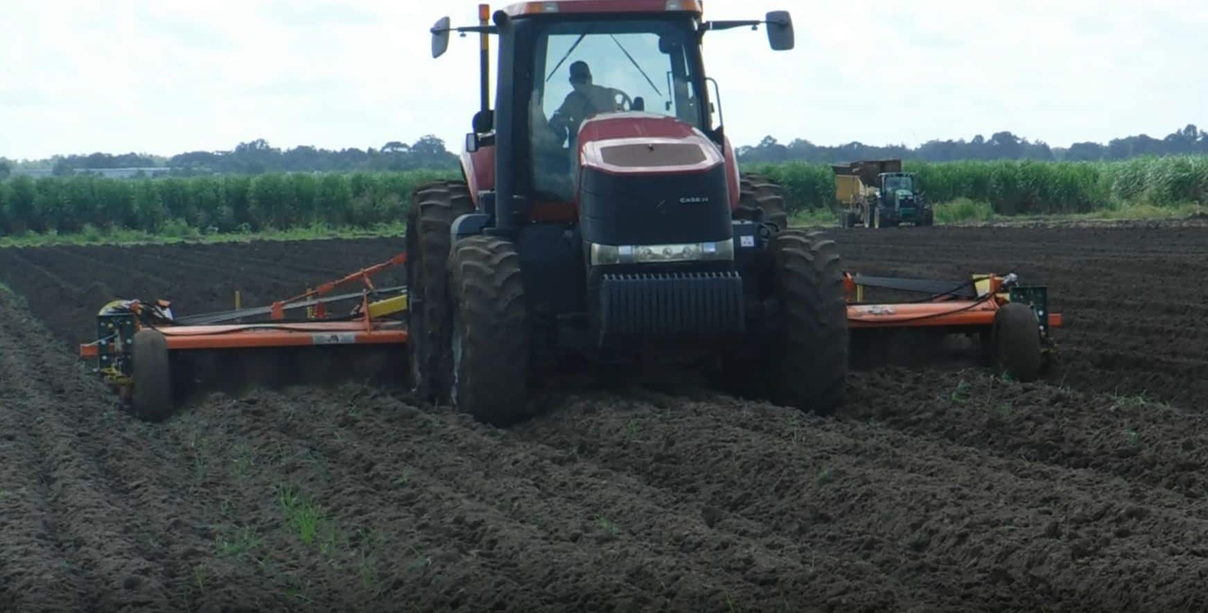 Sugar Cane Tiller Northwest Tillers